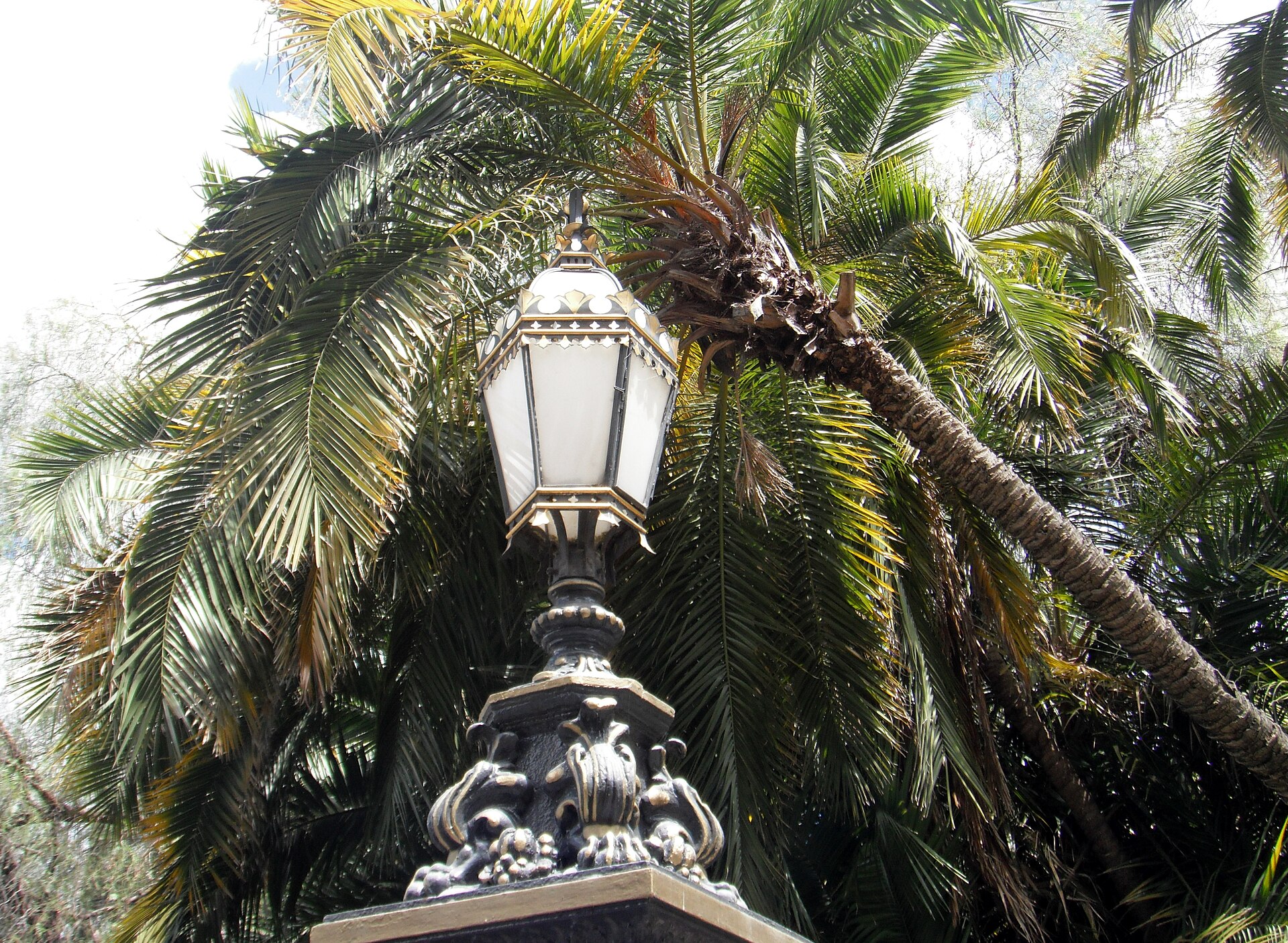 Entrance to Adelaide Botanic Garden